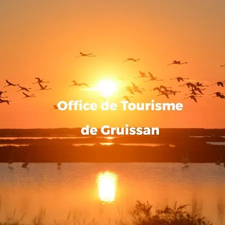 Daire Les Asterides *